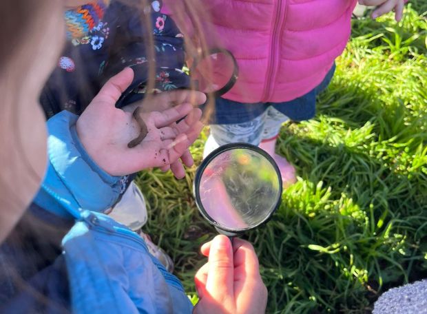 Niños observando un insecto con una lupa durante una actividad de exploración en el jardín.