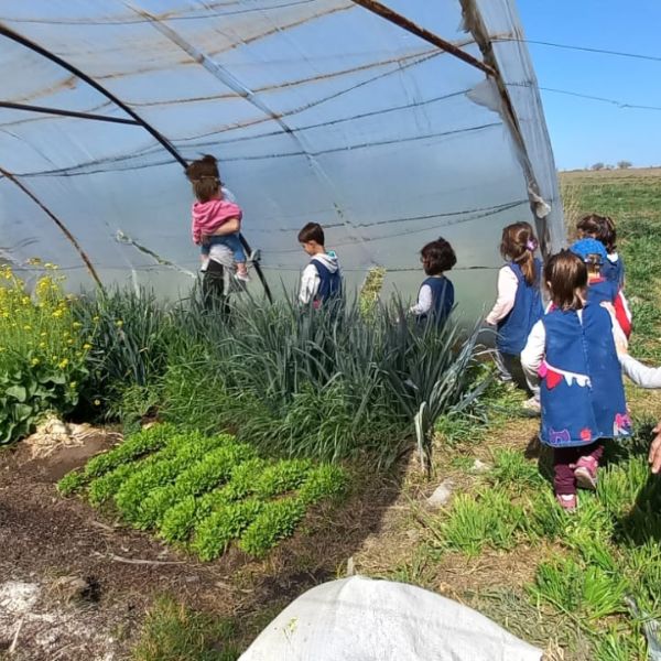 Familias y niños visitando la huerta